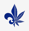 Quebec Cannabis Seeds