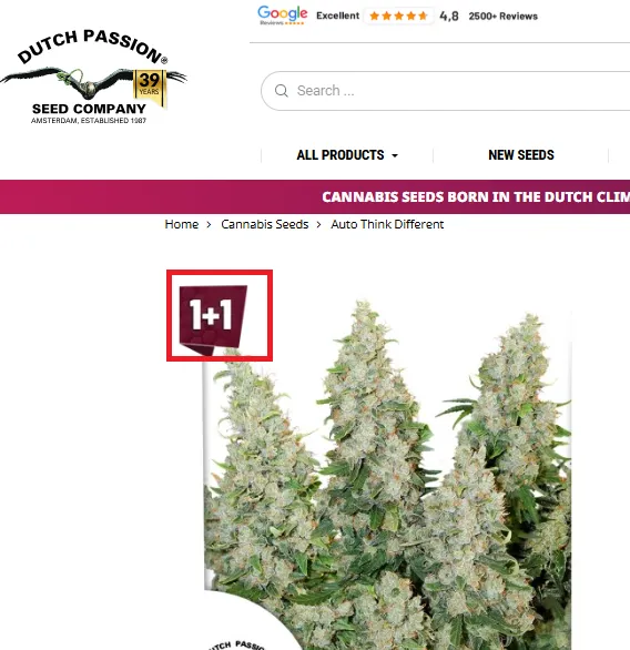 dutch-passion Bogo offer.webp