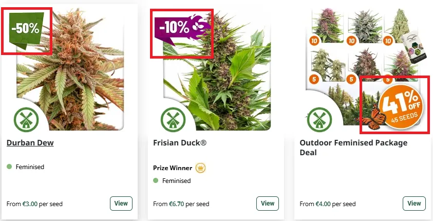 dutch-passion 50% Discount Offer.webp