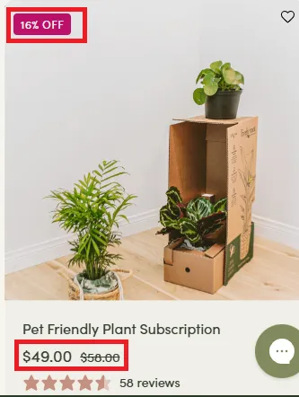 Livelyroot 16% OFF Offer.webp