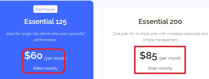 Bigscoots offer