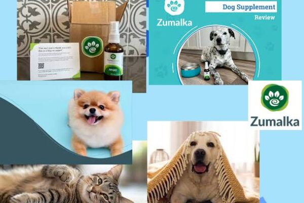 Is Zumalka Worth It? Our Honest Review + Verified Coupon for Pet Parents 🐶