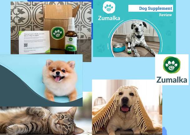 Is Zumalka Worth It? Our Honest Review + Verified Coupon for Pet Parents 🐶