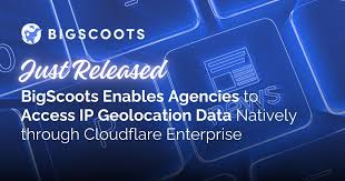 Bigscoots coupons review