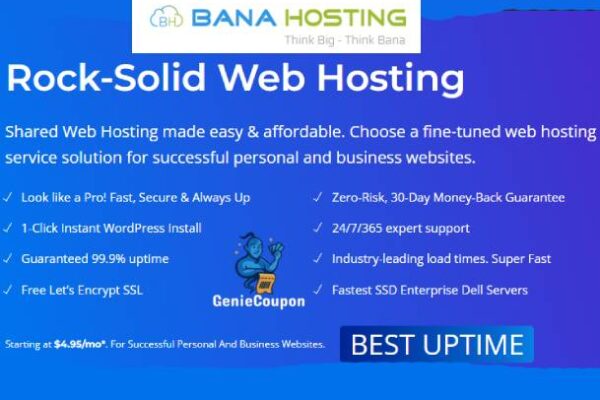 BanaHosting Coupons & Review 2025 – Affordable Hosting With Exclusive Deals BanaHosting Coupons