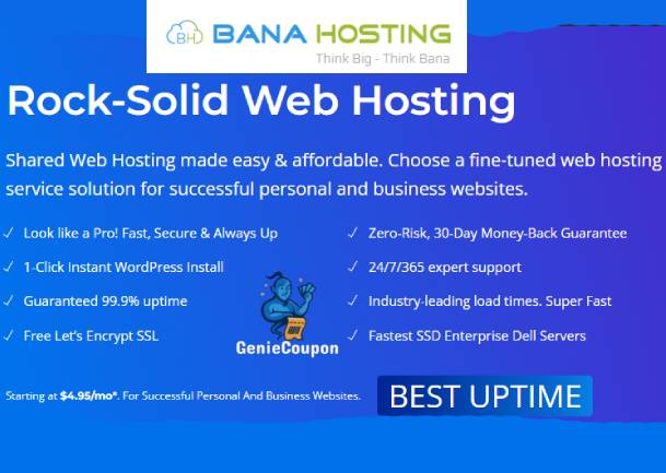 BanaHosting Coupons